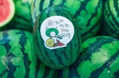 网红新瓜最新爆料,揭秘娱乐圈惊人内幕！