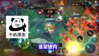 王者爆料最新小鱼,神秘小鱼新英雄即将亮相，技能解析与背景故事揭秘