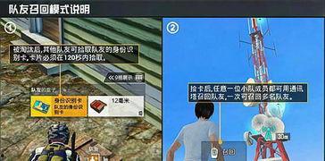 精英僵尸爆料视频大全最新,视频大全背后的惊悚真相