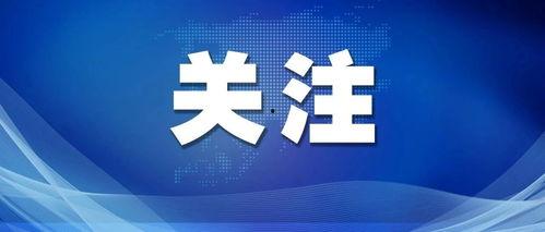 全国最近爆料视频最新消息,揭秘事件真相与幕后黑幕
